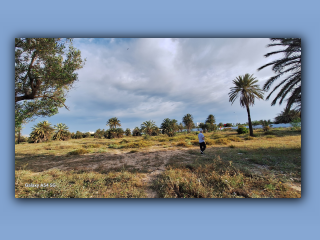 Tunisian 2025 (15).jpg